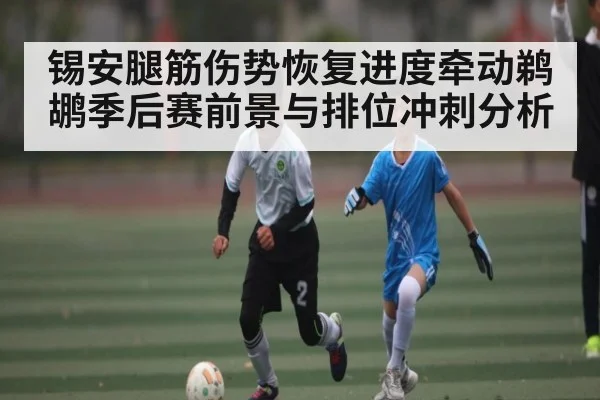 锡安腿筋伤势恢复进度牵动鹈鹕季后赛前景与排位冲刺分析 - kaiyun